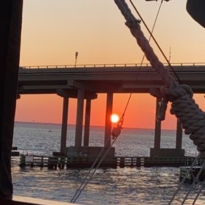 Meet your Posher, Elysia